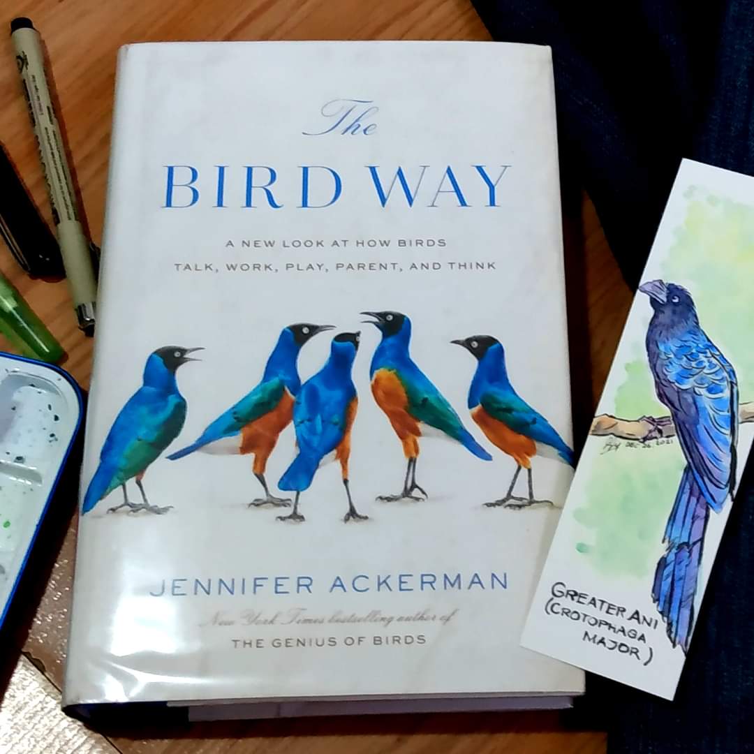 The Bird Way: A New Look at How Birds Talk, Work, Play, Parent, and Think