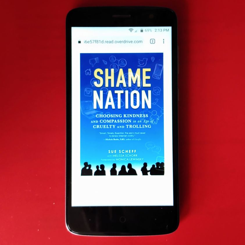 Shame Nation: The Global Epidemic of Online Hate