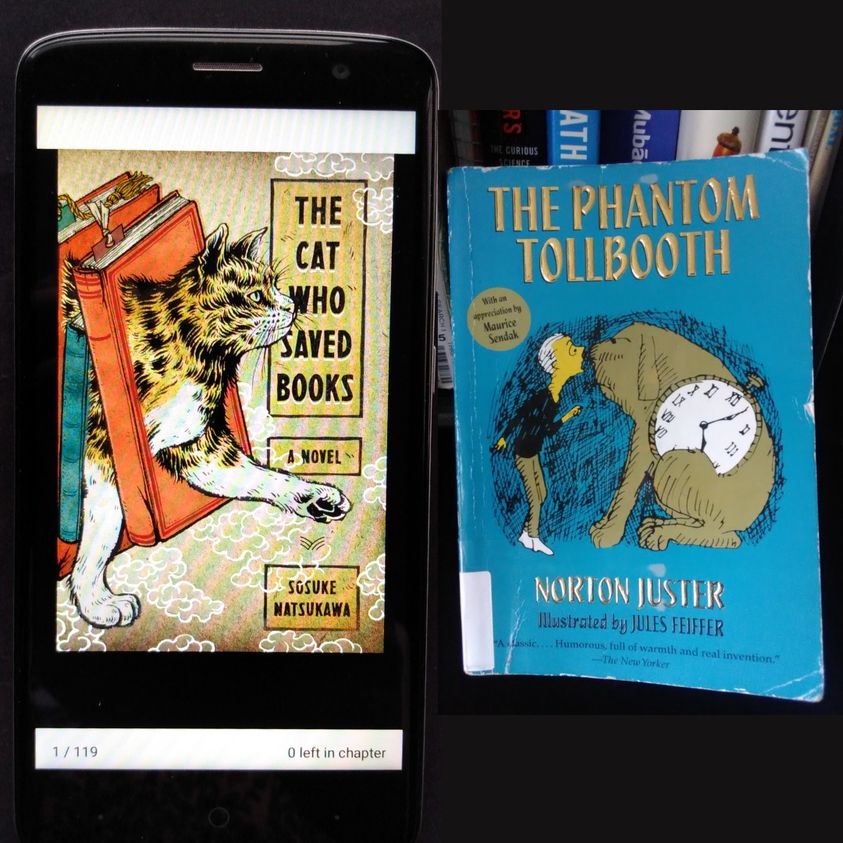 The Cat Who Saved Books dan The Phantom Tollbooth