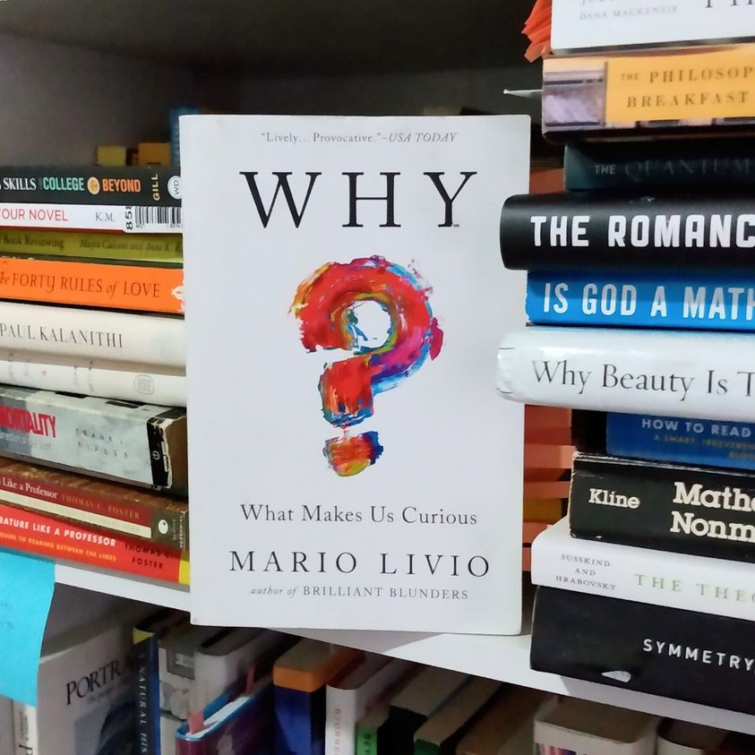 Why?: What Makes Us Curious