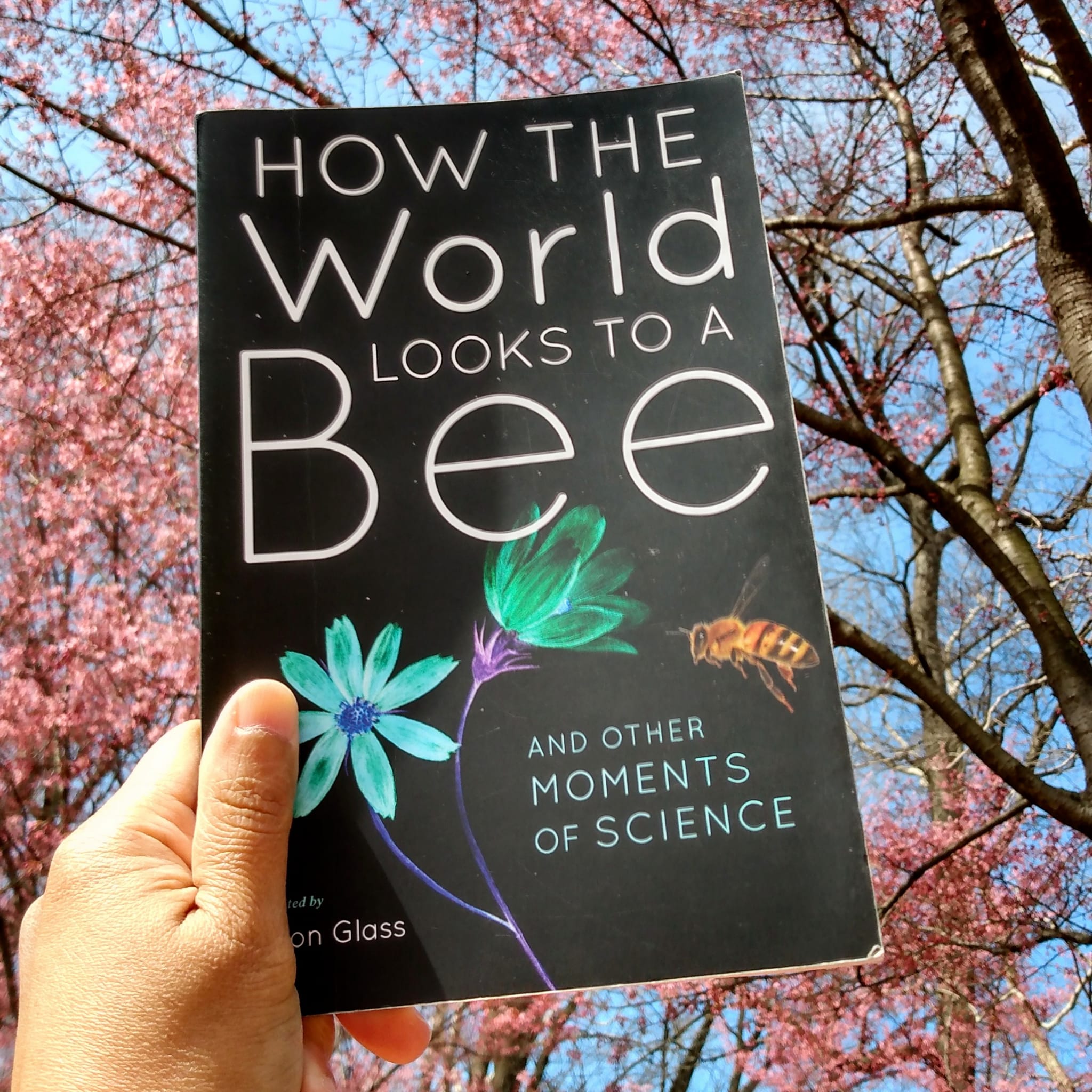 How The World Looks To A Bee (And Other Moments of Science)