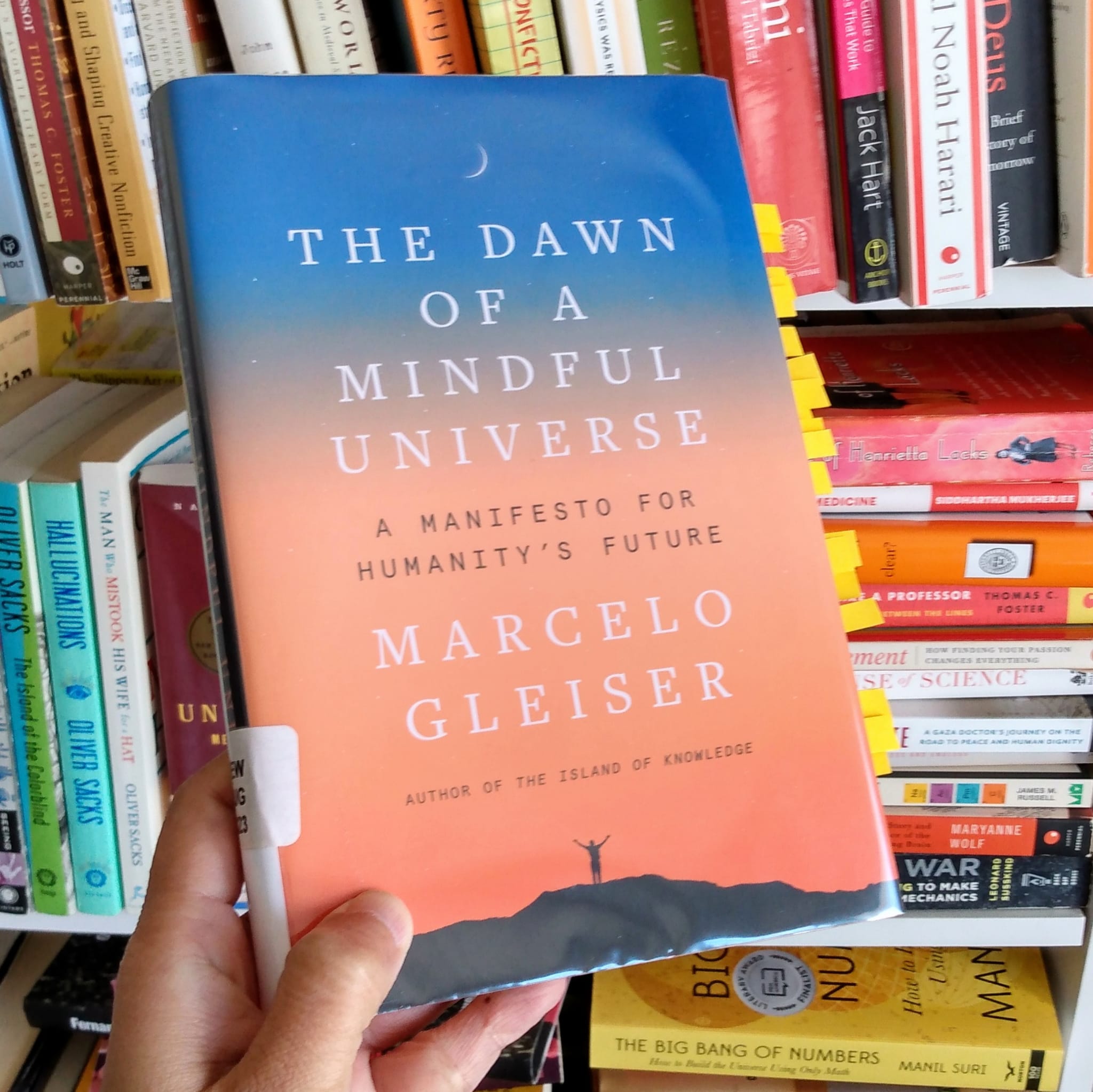 The Dawn of A Mindful Universe: Manifesto for Humanity’s Future